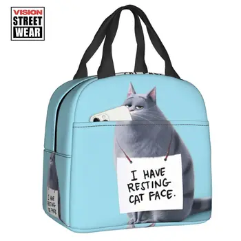 Изработена по поръчка скъпа чанта за обяд с шарени котка, мъжка дамска чанта-хладилник, термоизолированный обяд-бокс за детски училище